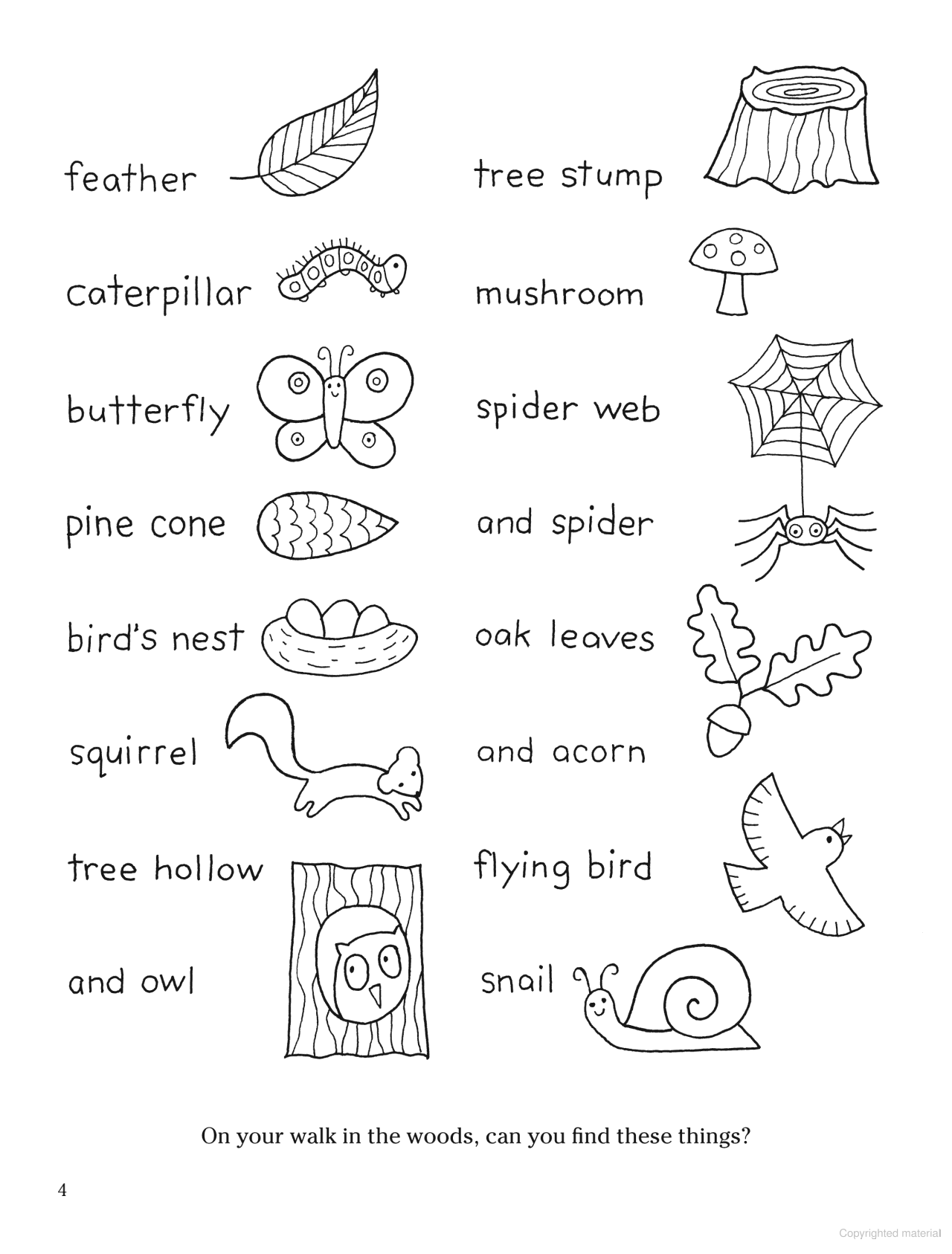 Color Your World: A Walk in the Woods