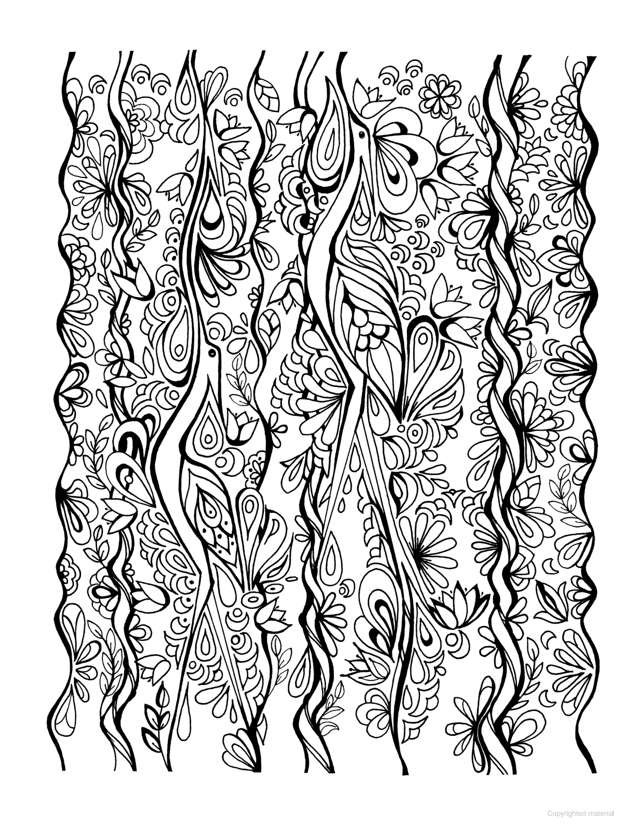 DVR Creative Haven® Coloring Book: Dream Birds