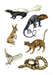DVR Desert Animals Stickers