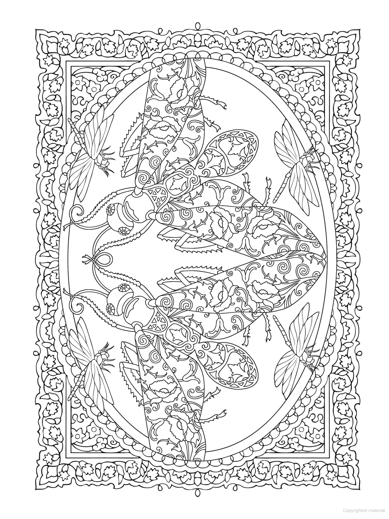 DVR Creative Haven® Coloring Book: Incredible Insect Designs