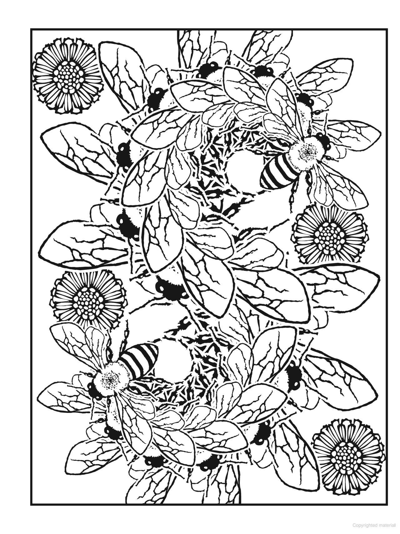DVR Creative Haven® Coloring Book: Nature Fractals