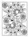 DVR Creative Haven® Coloring Book: Nature Fractals