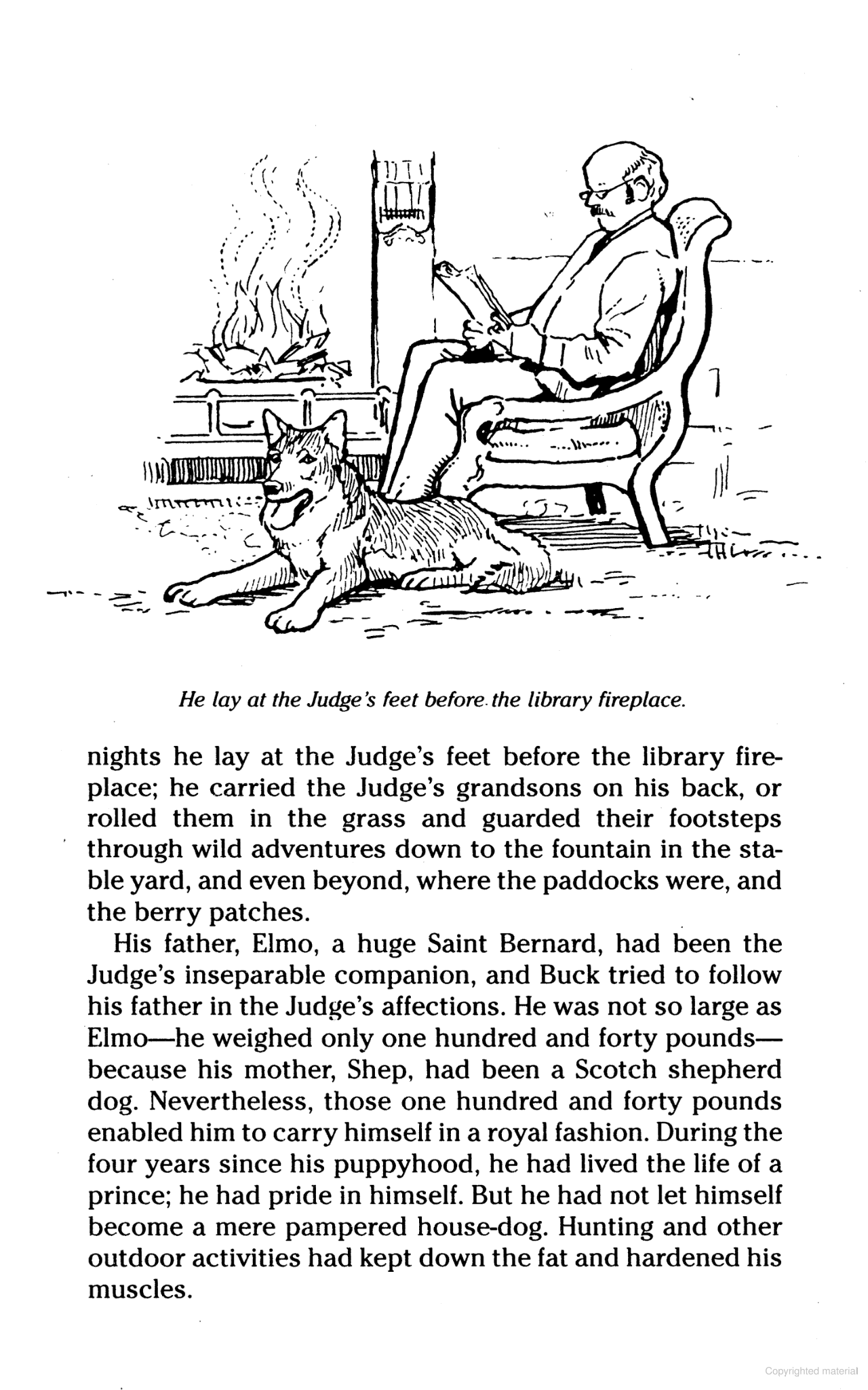 DVR The Call of the Wild