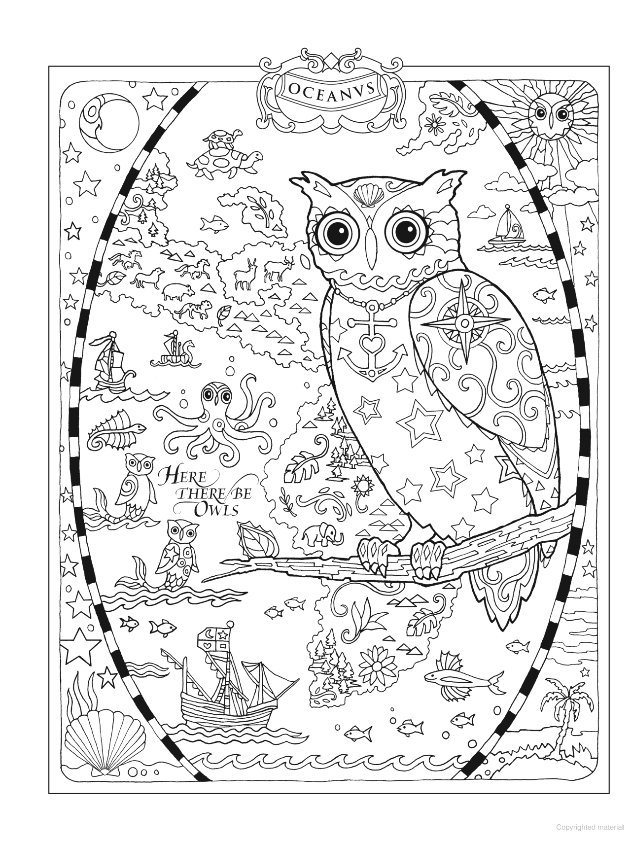 DVR Creative Haven® Coloring Book: Owls