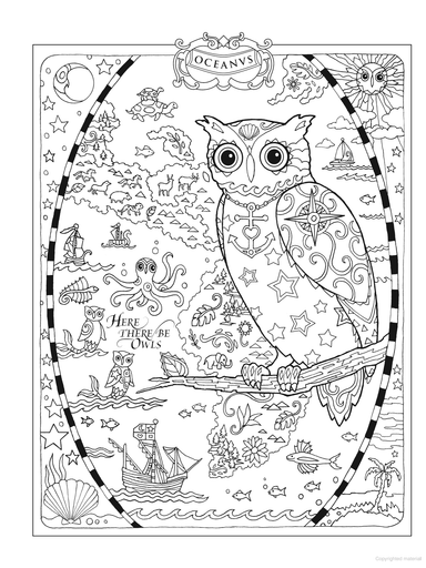 DVR Creative Haven® Coloring Book: Owls