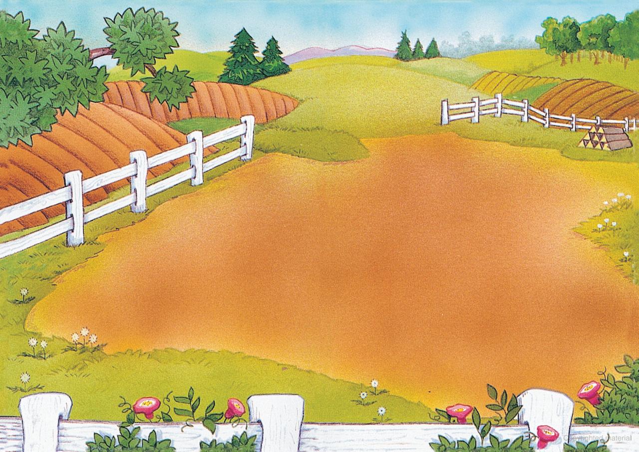 DVR Old MacDonald's Farm Sticker Activity Book