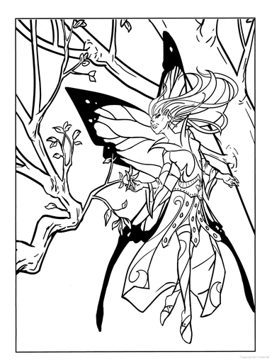 DVR Fairy Fashion Coloring Book