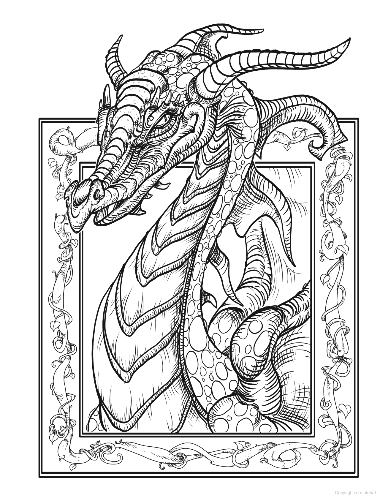 DVR Creative Haven® Coloring Book: Fantastical Dragons