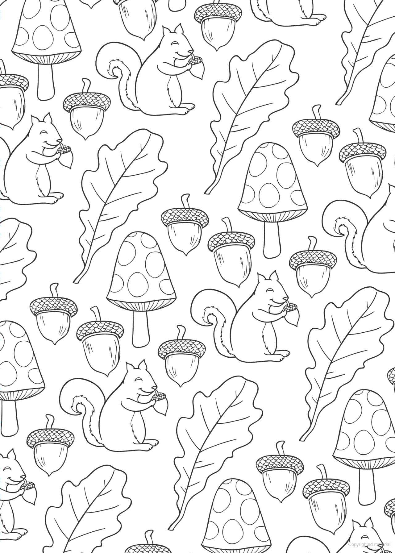 DVR Nature - Bliss Coloring Book