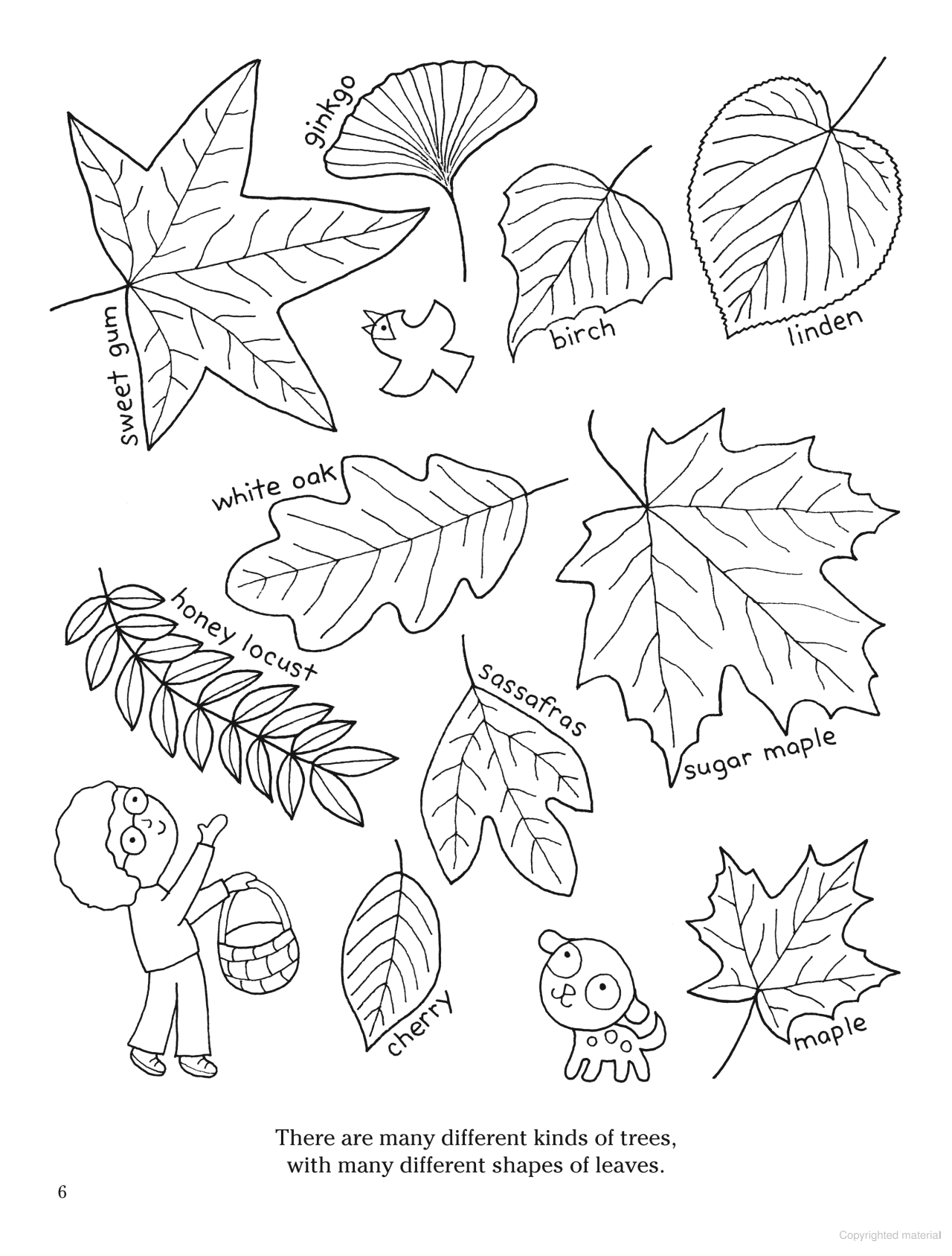 Color Your World: A Walk in the Woods