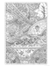 DVR Creative Haven® Coloring Book: Entangled Landscapes