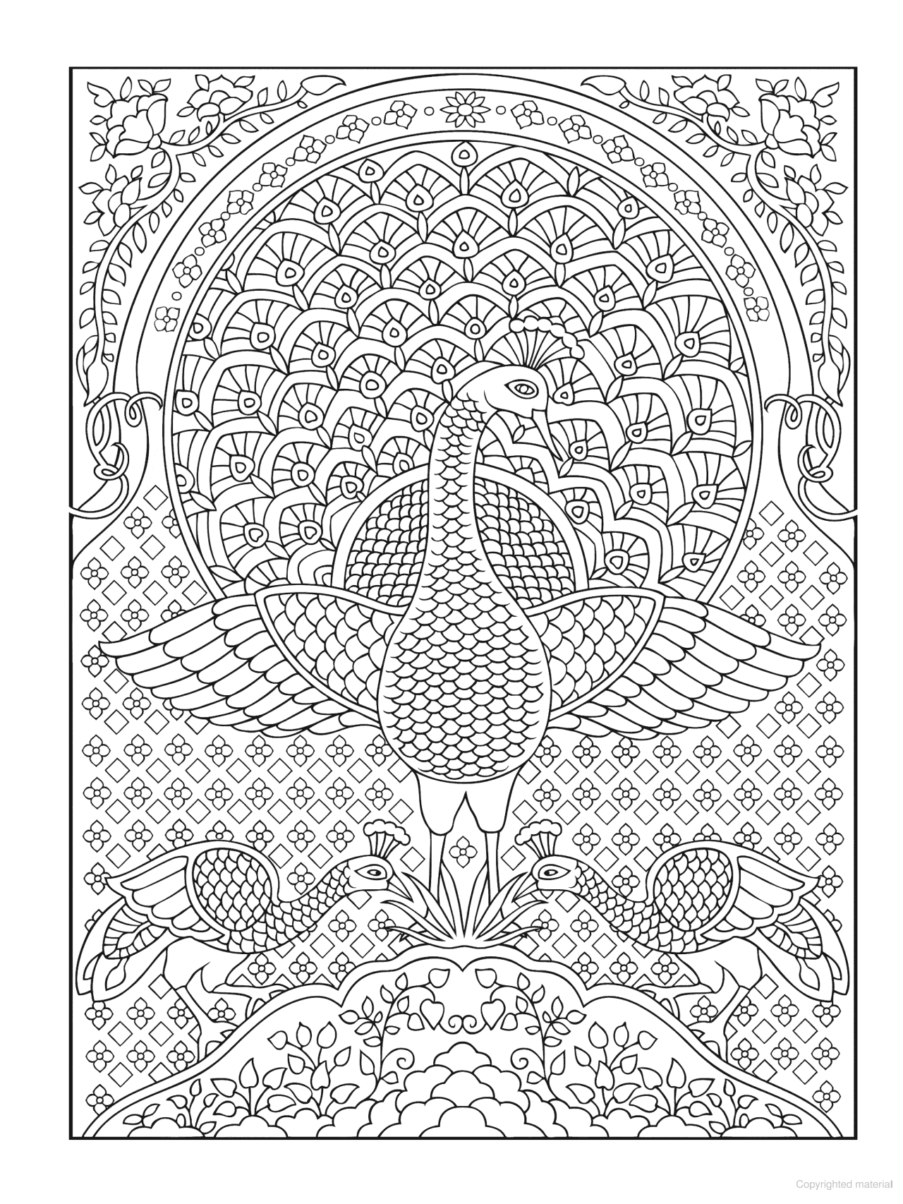 DVR Creative Haven® Coloring Book: Peacock Designs