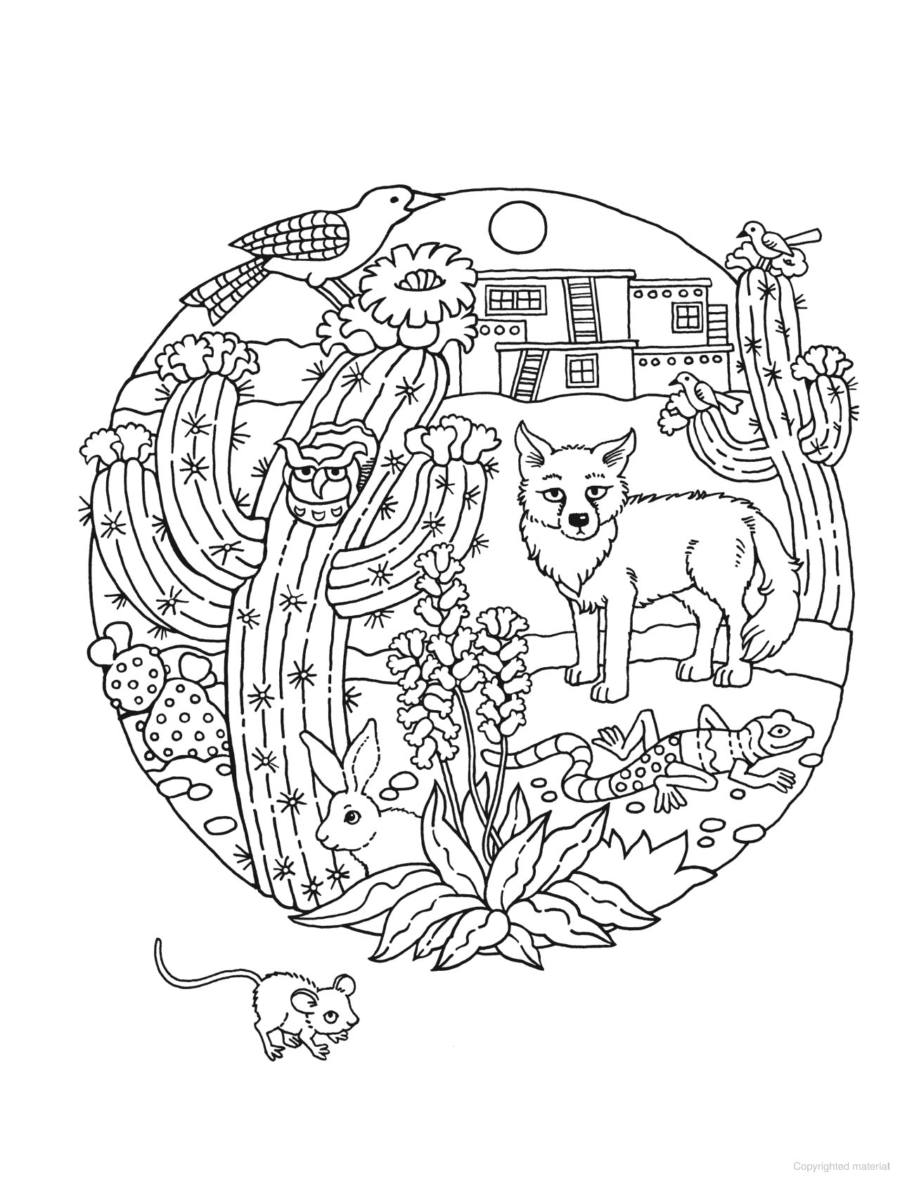 DVR Spark Coloring Book: Circles of Fun Animals