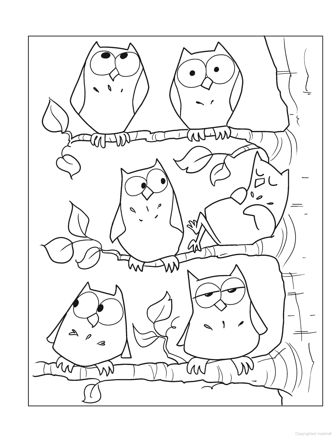 DVR Spark Coloring Book: Zany Birds