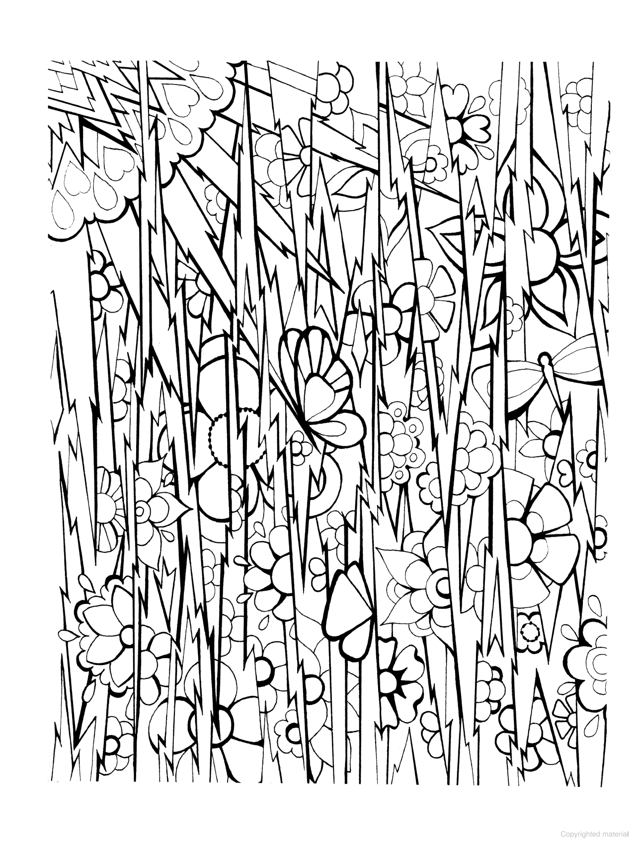 DVR Creative Haven® Coloring Book: Floral Frenzy