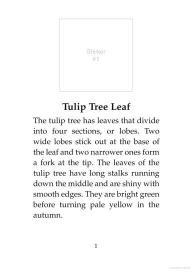 DVR Learning About Leaves