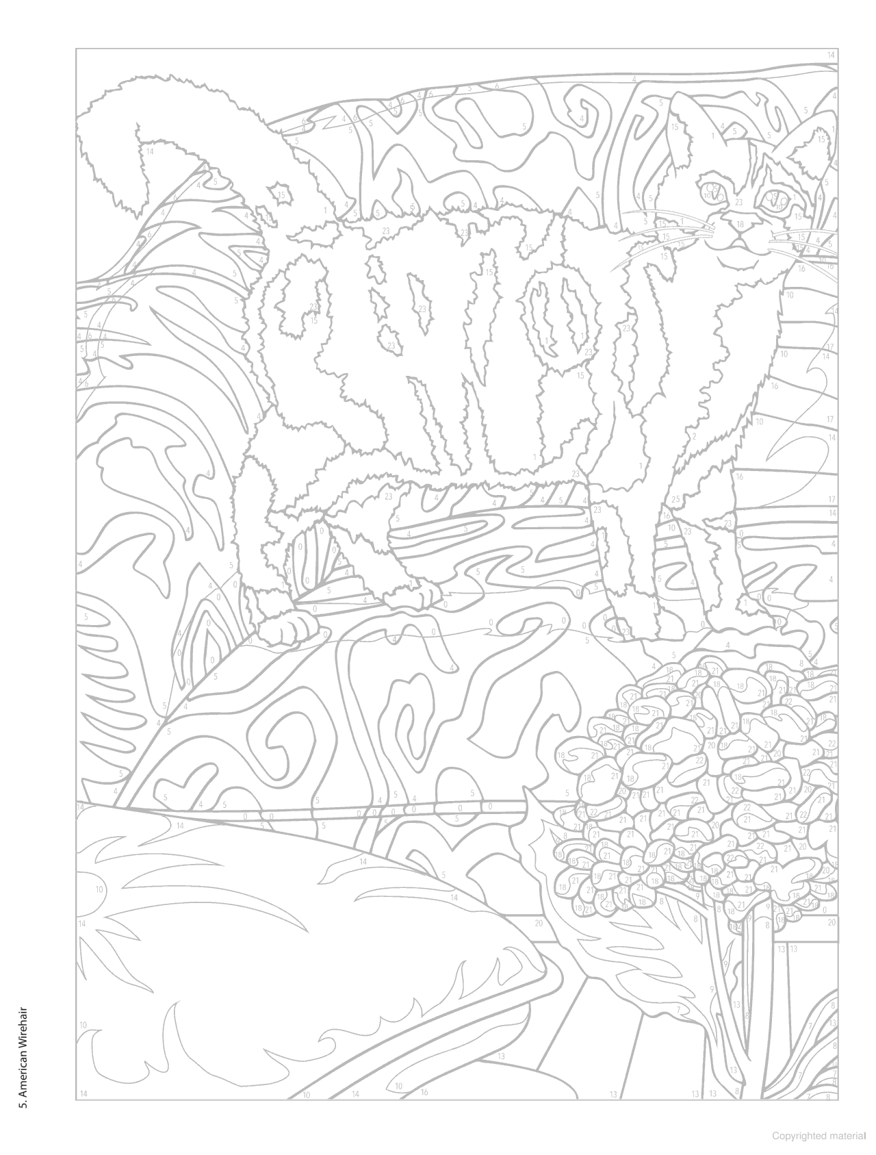 DVR Creative Haven® Color-By-Number: Cats