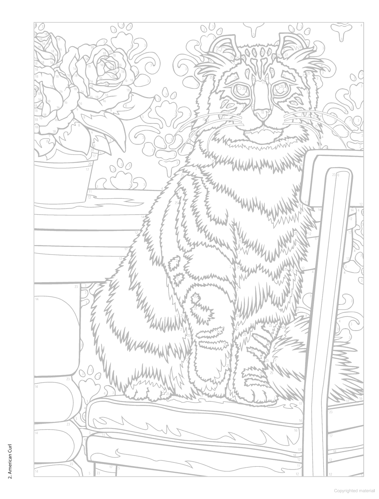 DVR Creative Haven® Color-By-Number: Cats