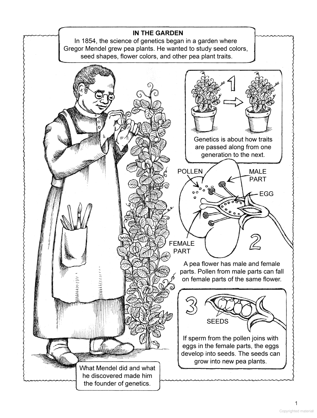 My First Book About Genetics