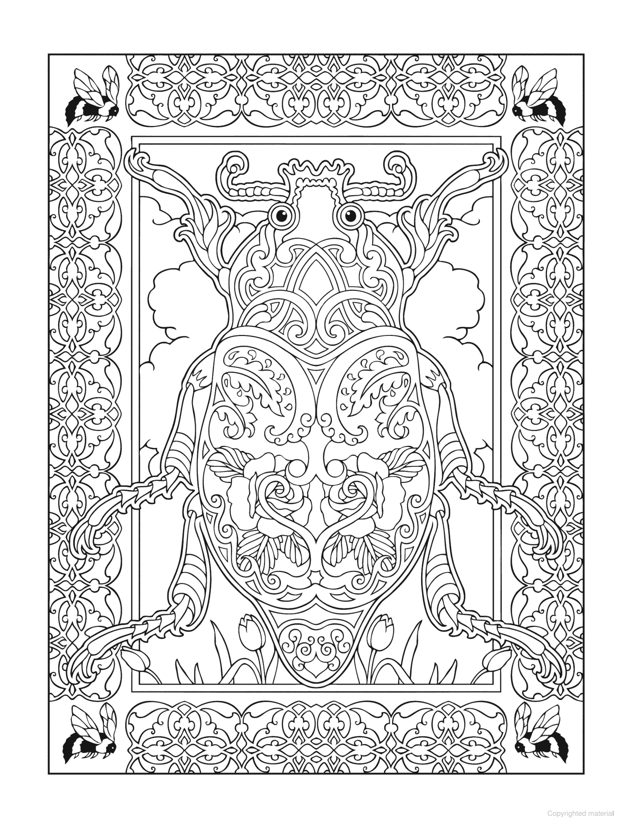 DVR Creative Haven® Coloring Book: Incredible Insect Designs