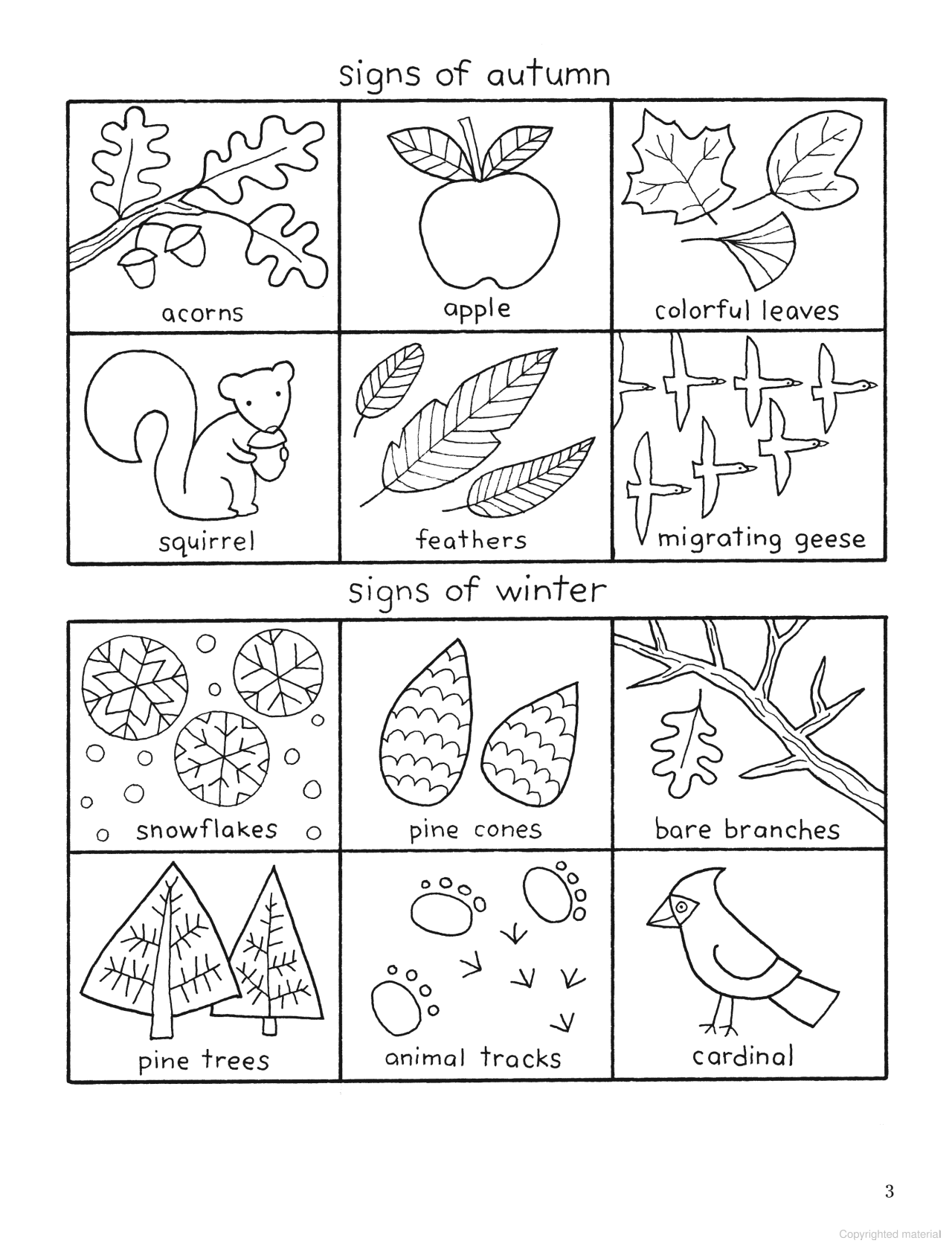 Color Your World: A Walk in the Woods