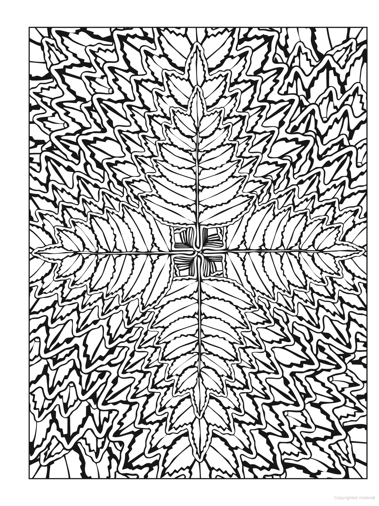 DVR Creative Haven® Coloring Book: Nature Fractals
