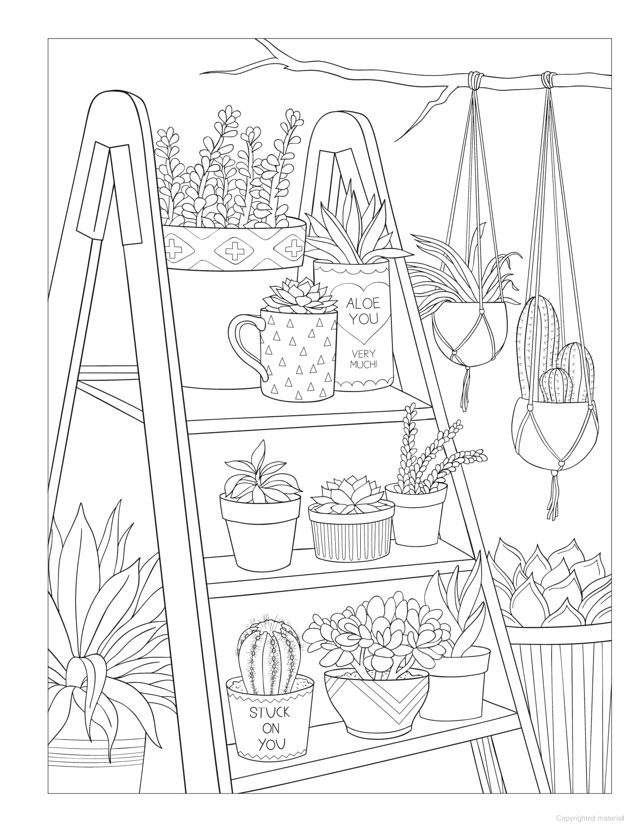 DVR Creative Haven® Coloring Book: Stunning Succulents
