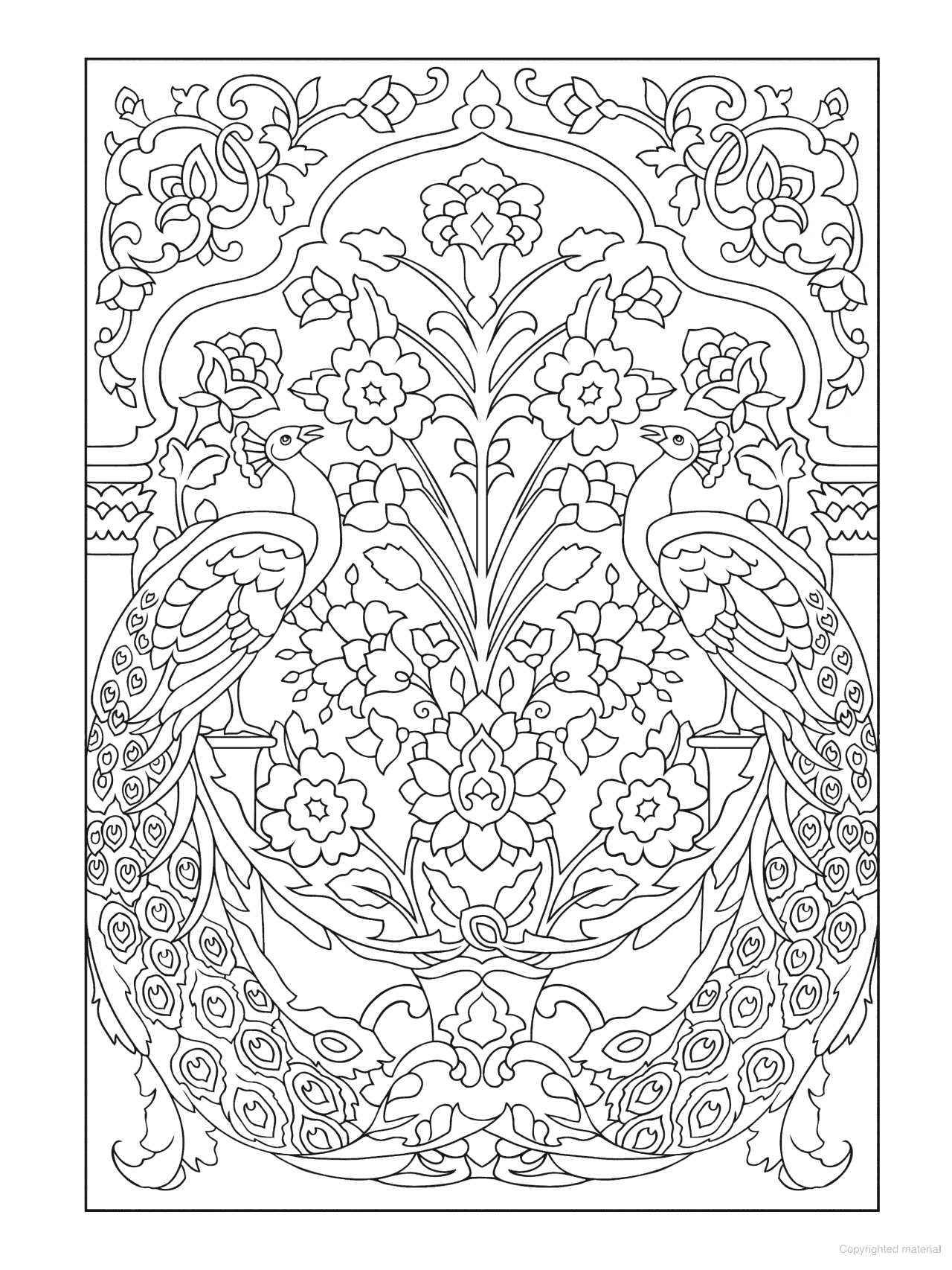 DVR Creative Haven® Coloring Book: Peacock Designs