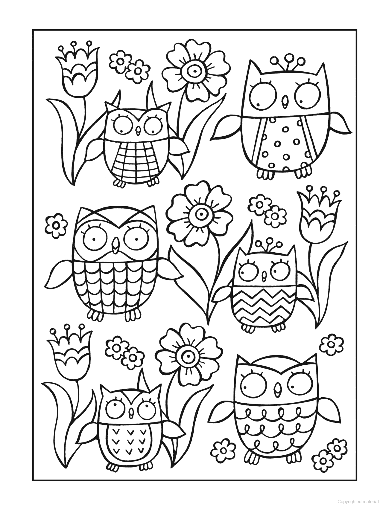 DVR Owls - SPARK Coloring Book
