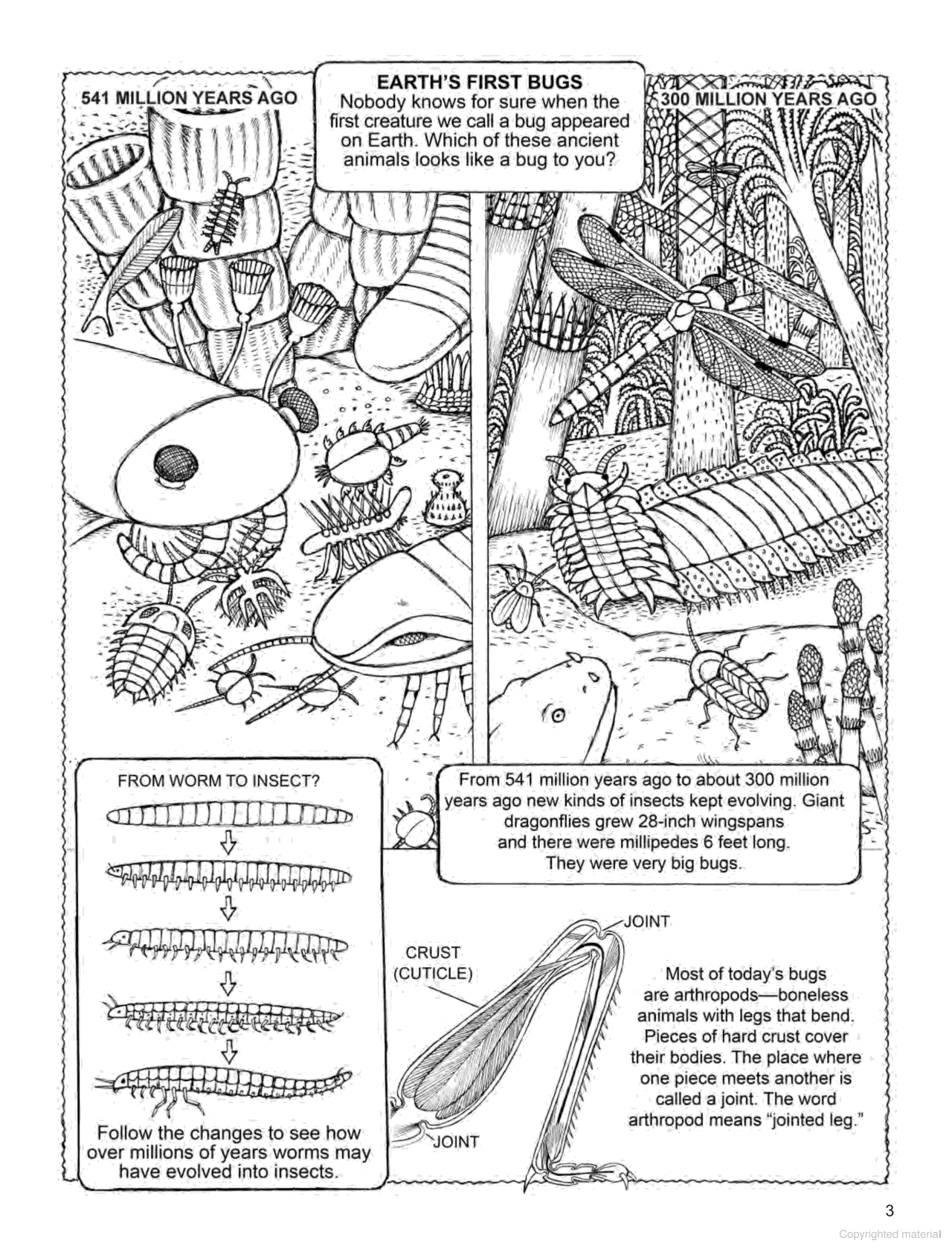 My First Book About Bugs - Coloring Book