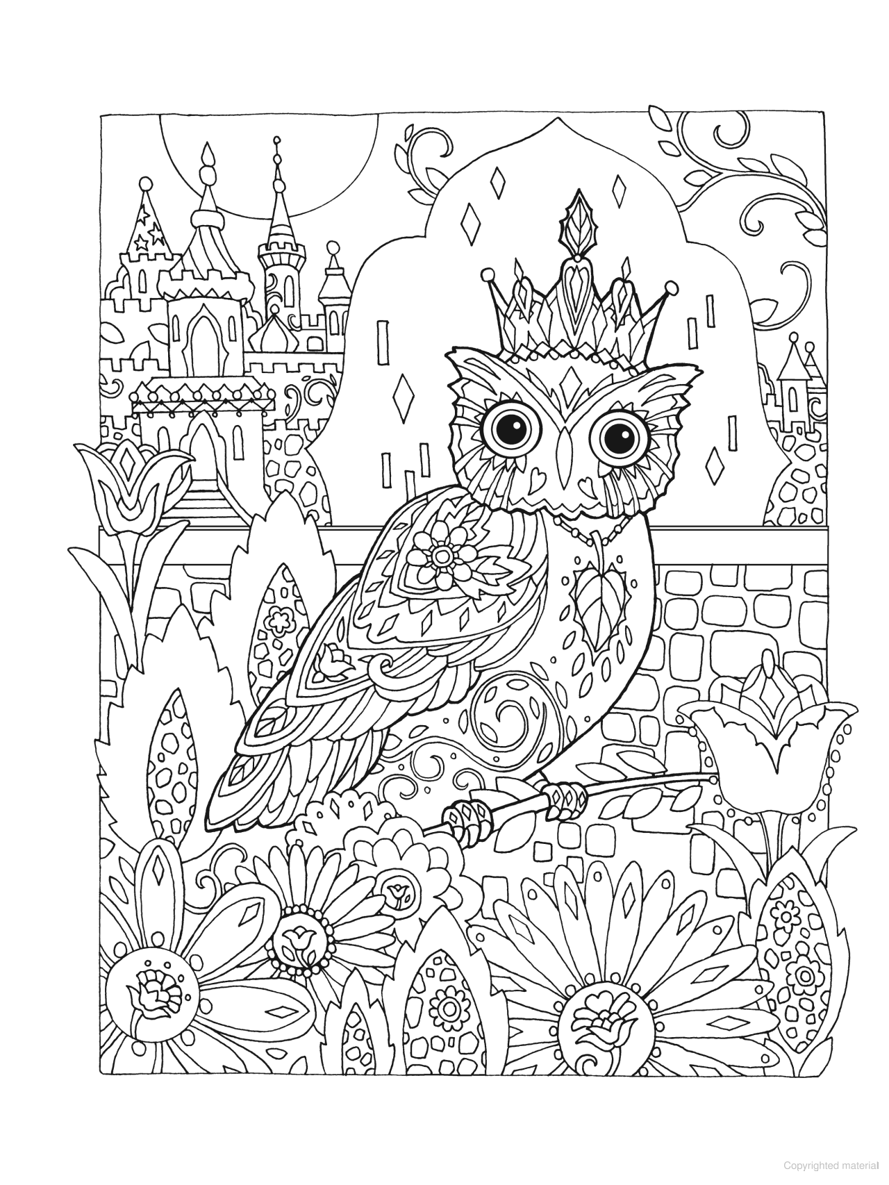 DVR Creative Haven® Coloring Book: Owls