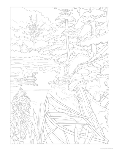 DVR Creative Haven® Color-By-Number: Country Scenes