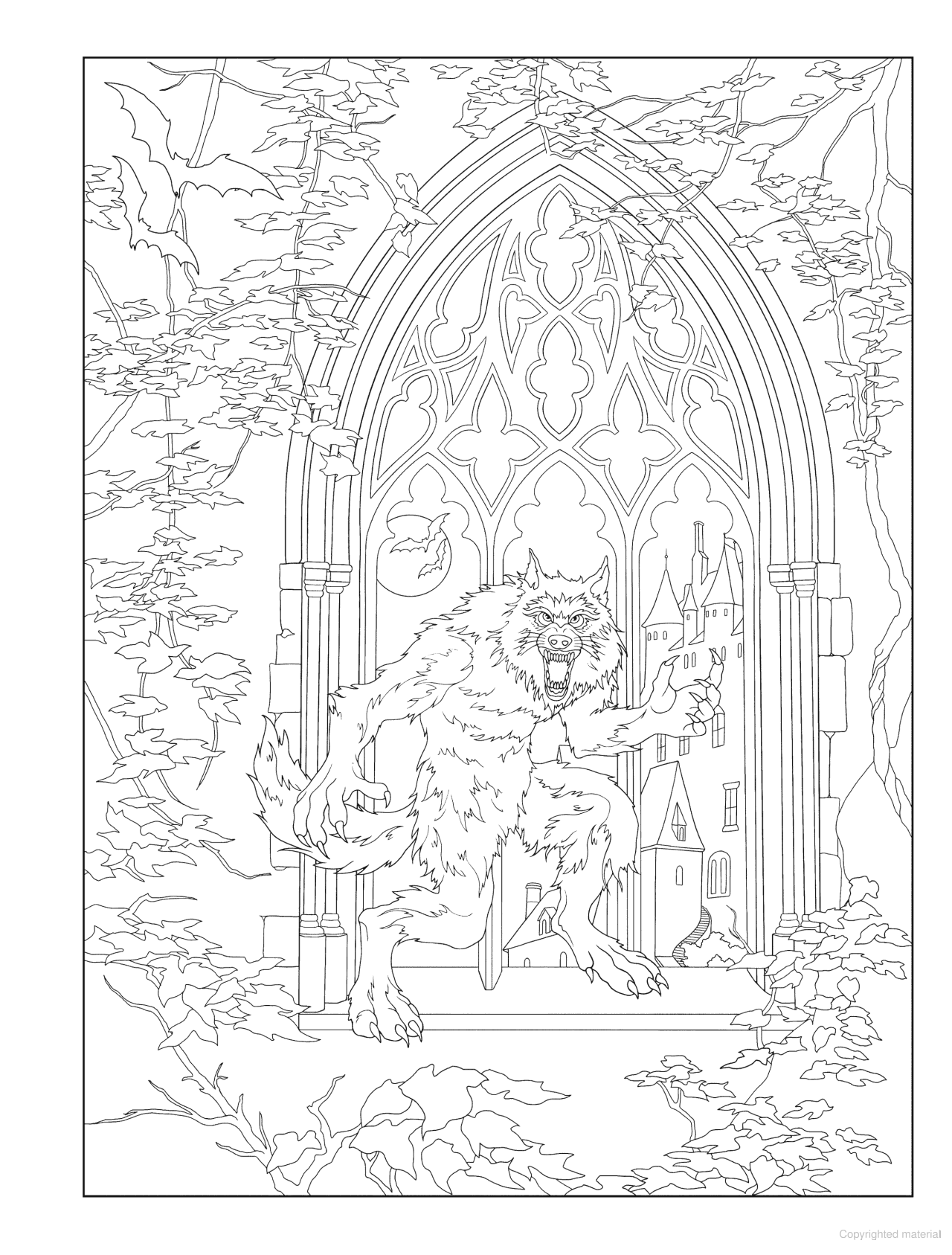 DVR Creative Haven® Coloring Book: Gothic Fantasy