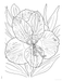 DVR Creative Haven® Coloring Book: Tropical Blooms