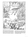 DVR Freshwater Pond Coloring Book