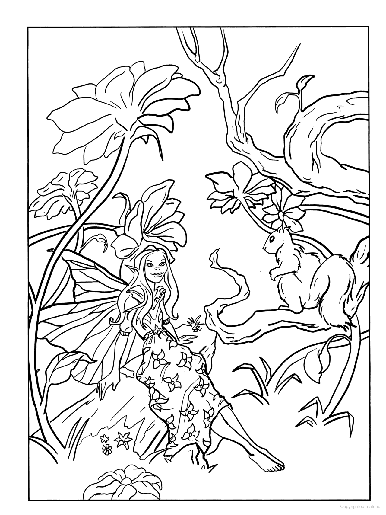 DVR Fairy Fashion Coloring Book