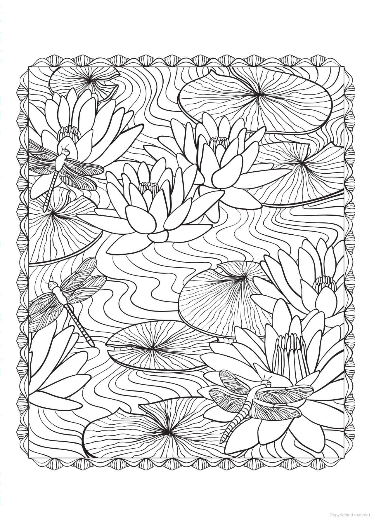 Bliss Flowers Coloring Book