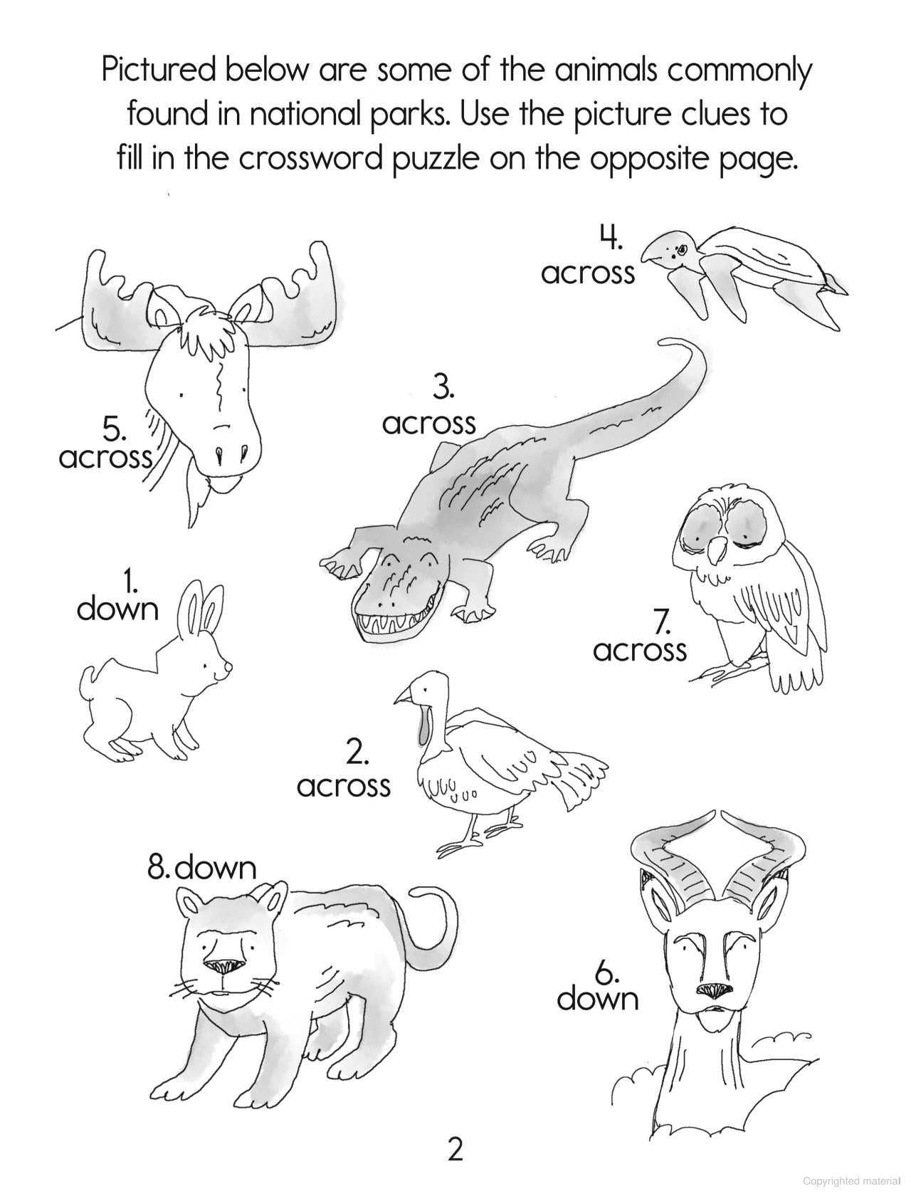 DVR America's National Parks: Activity Book