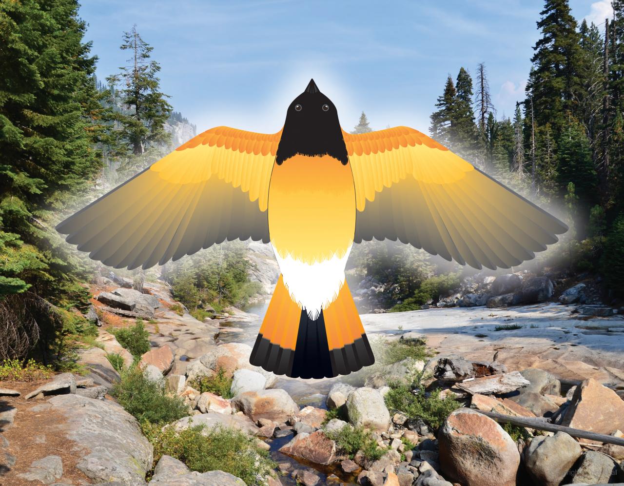 DVR Fantastic Press-Out Flying Birds