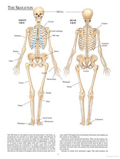 Human Anatomy in Full Color