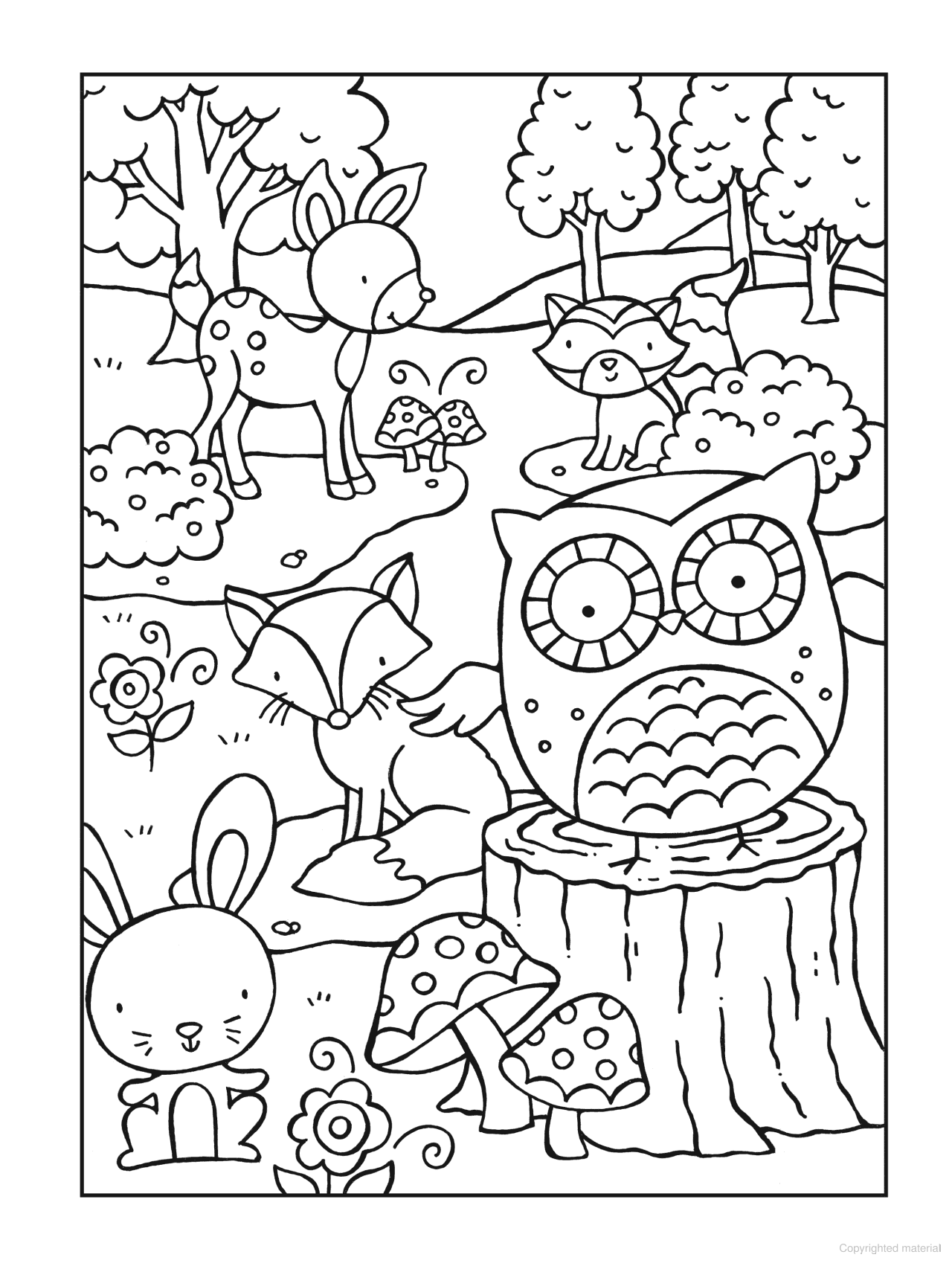 DVR Owls - SPARK Coloring Book