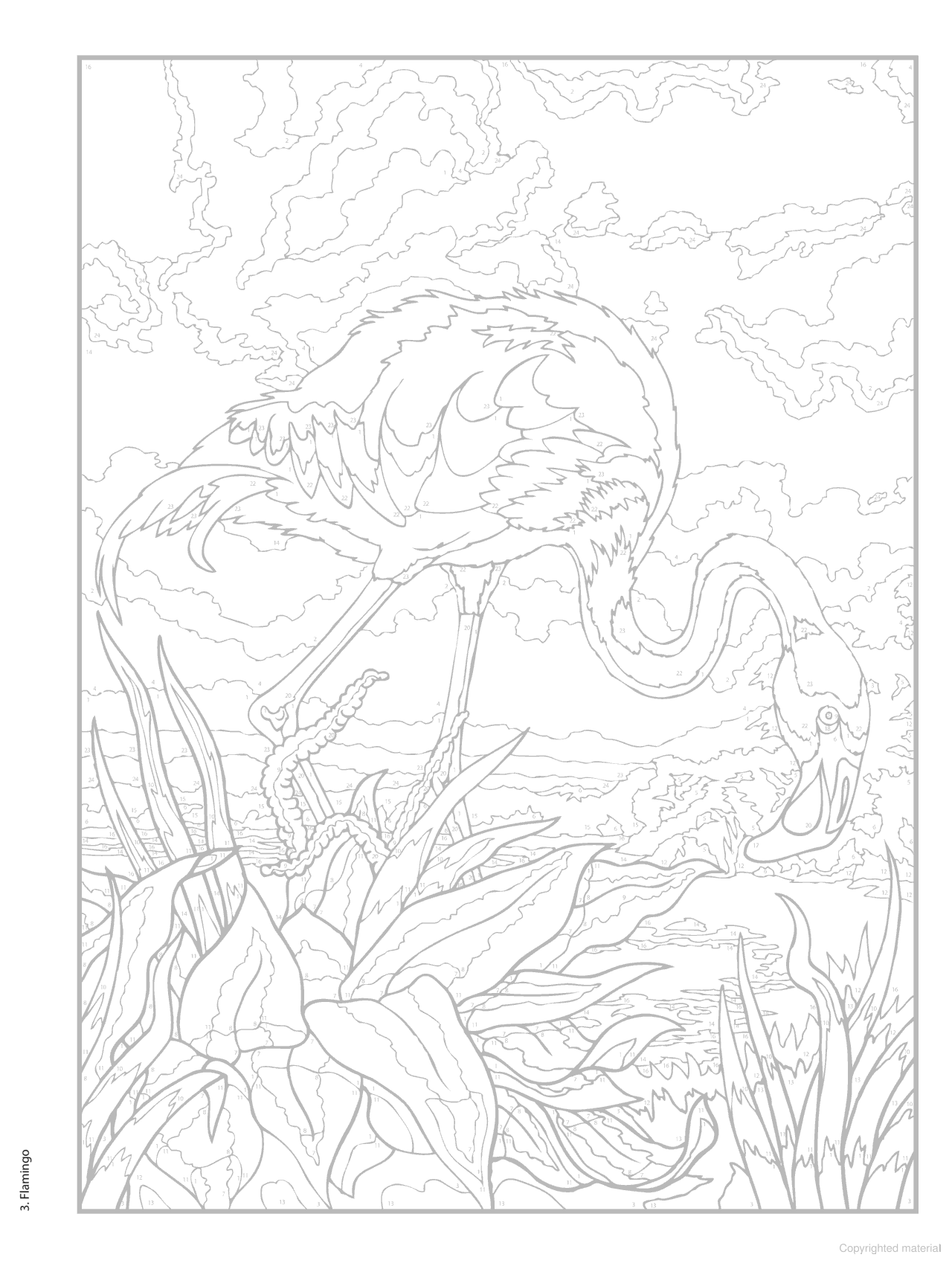 DVR Creative Haven® Color-By-Number: Birds