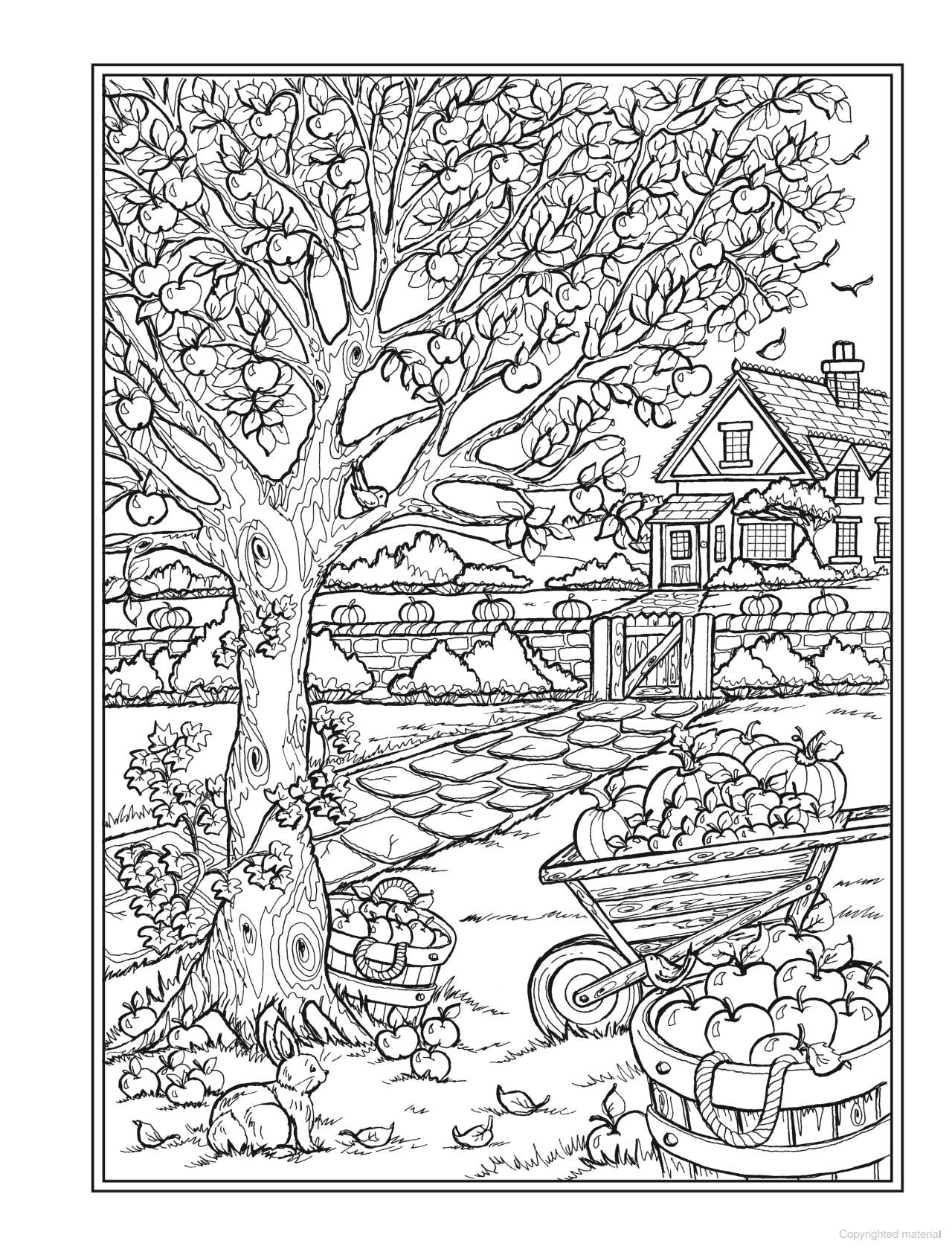 DVR Creative Haven® Coloring Book: Autumn Charm