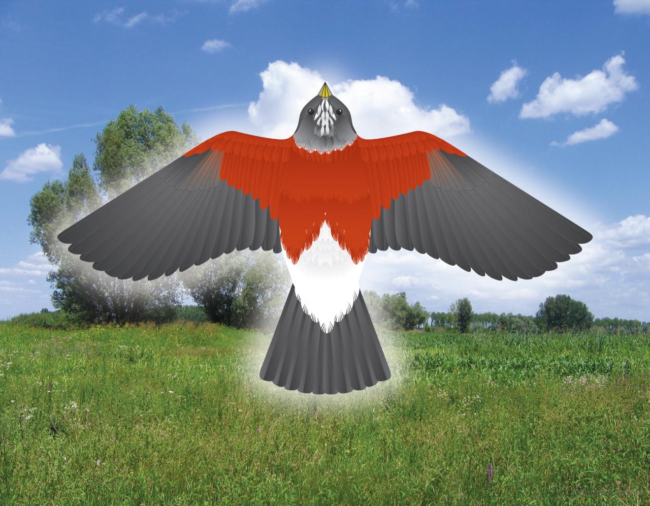 DVR Fantastic Press-Out Flying Birds