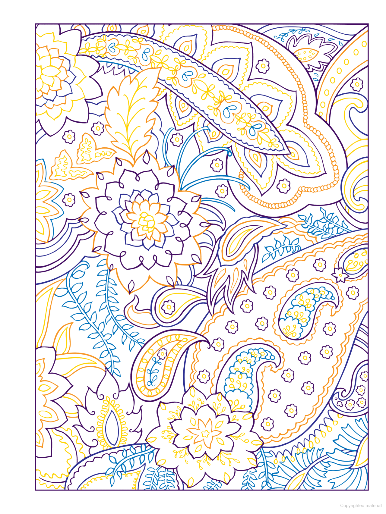 DVR Creative Haven® Coloring Book: Paisley Designs With A Splash of Color