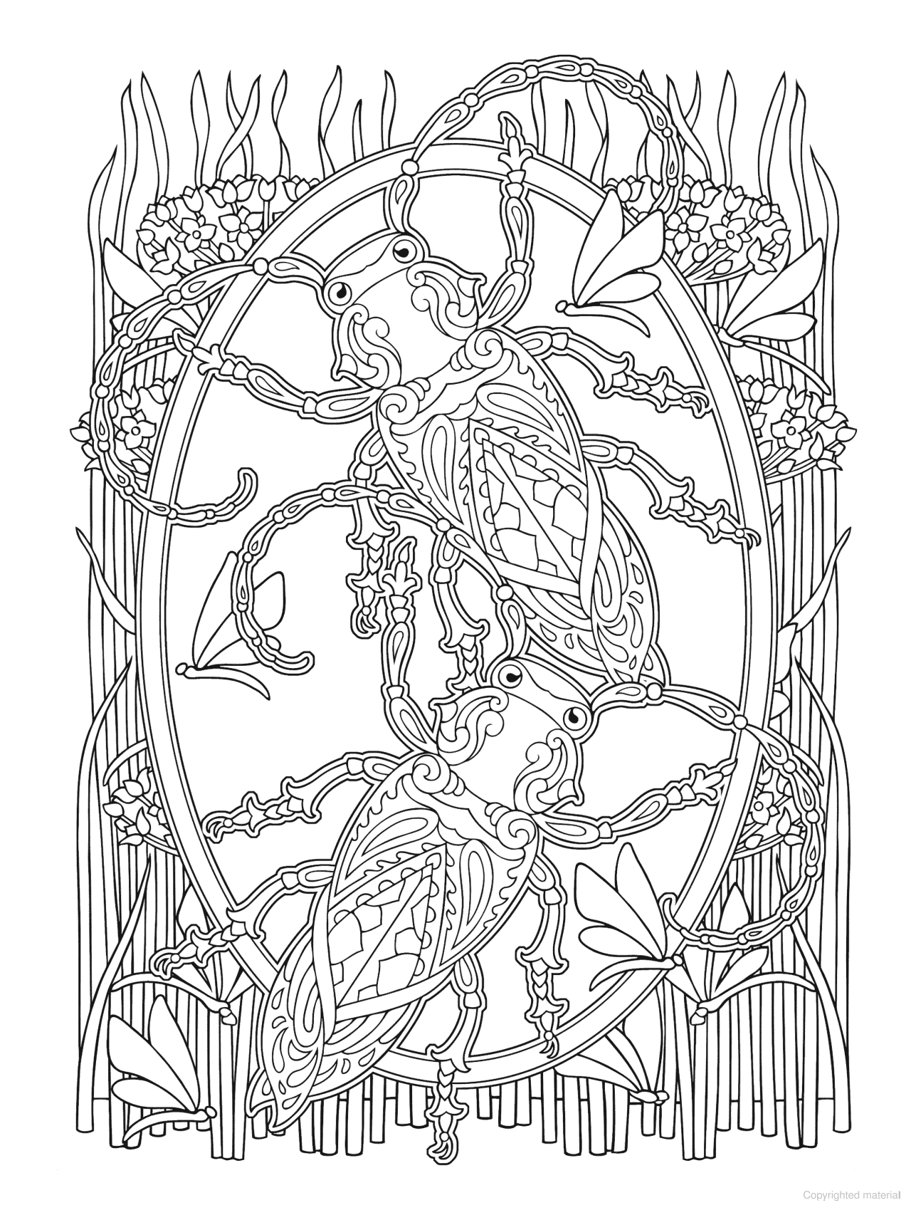 DVR Creative Haven® Coloring Book: Incredible Insect Designs