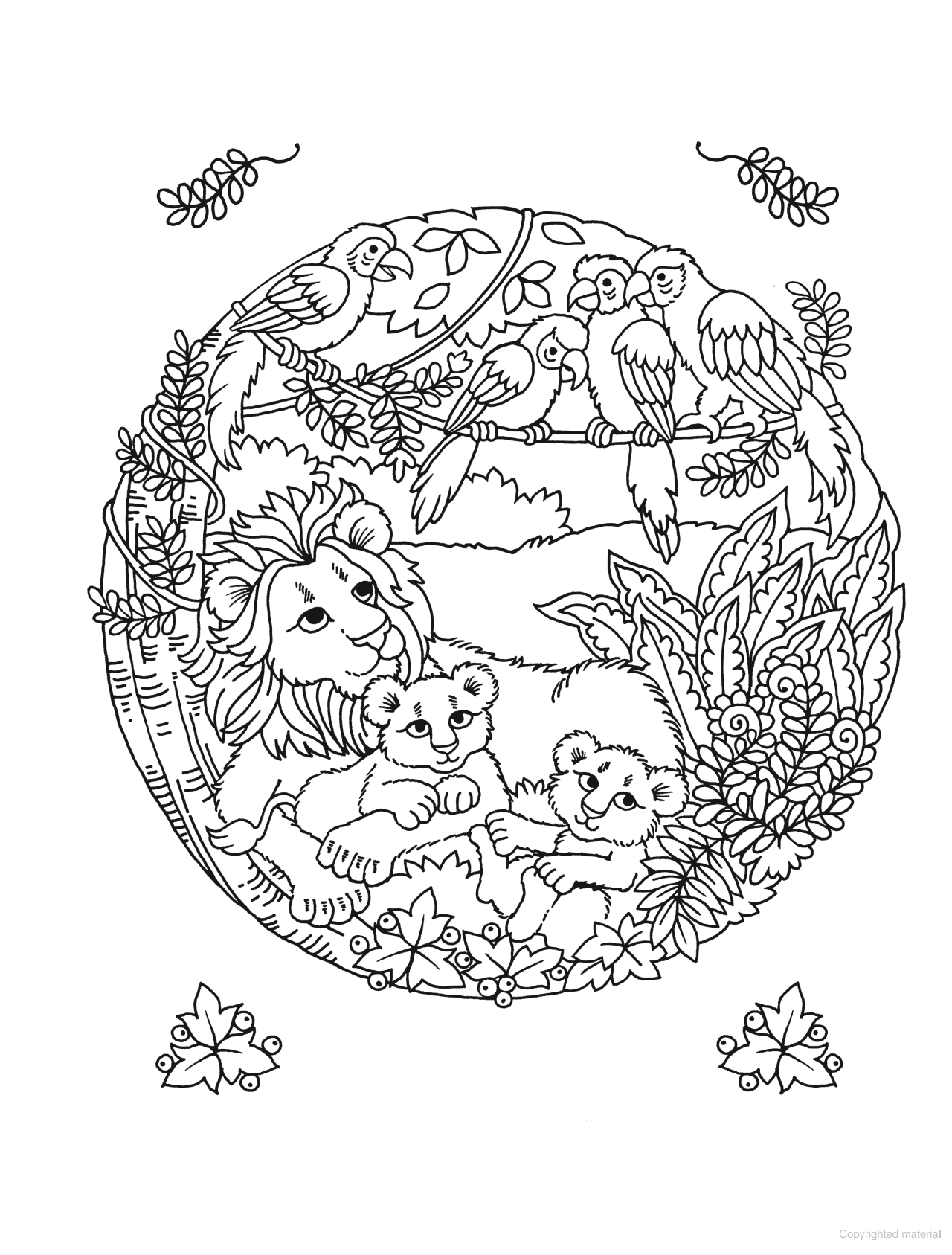 DVR Spark Coloring Book: Circles of Fun Animals