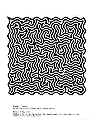 Mind-Boggling Mazes