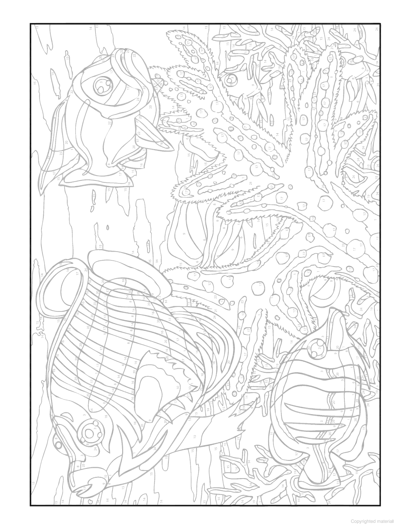 DVR Creative Haven® Color-By-Number: Sea Life