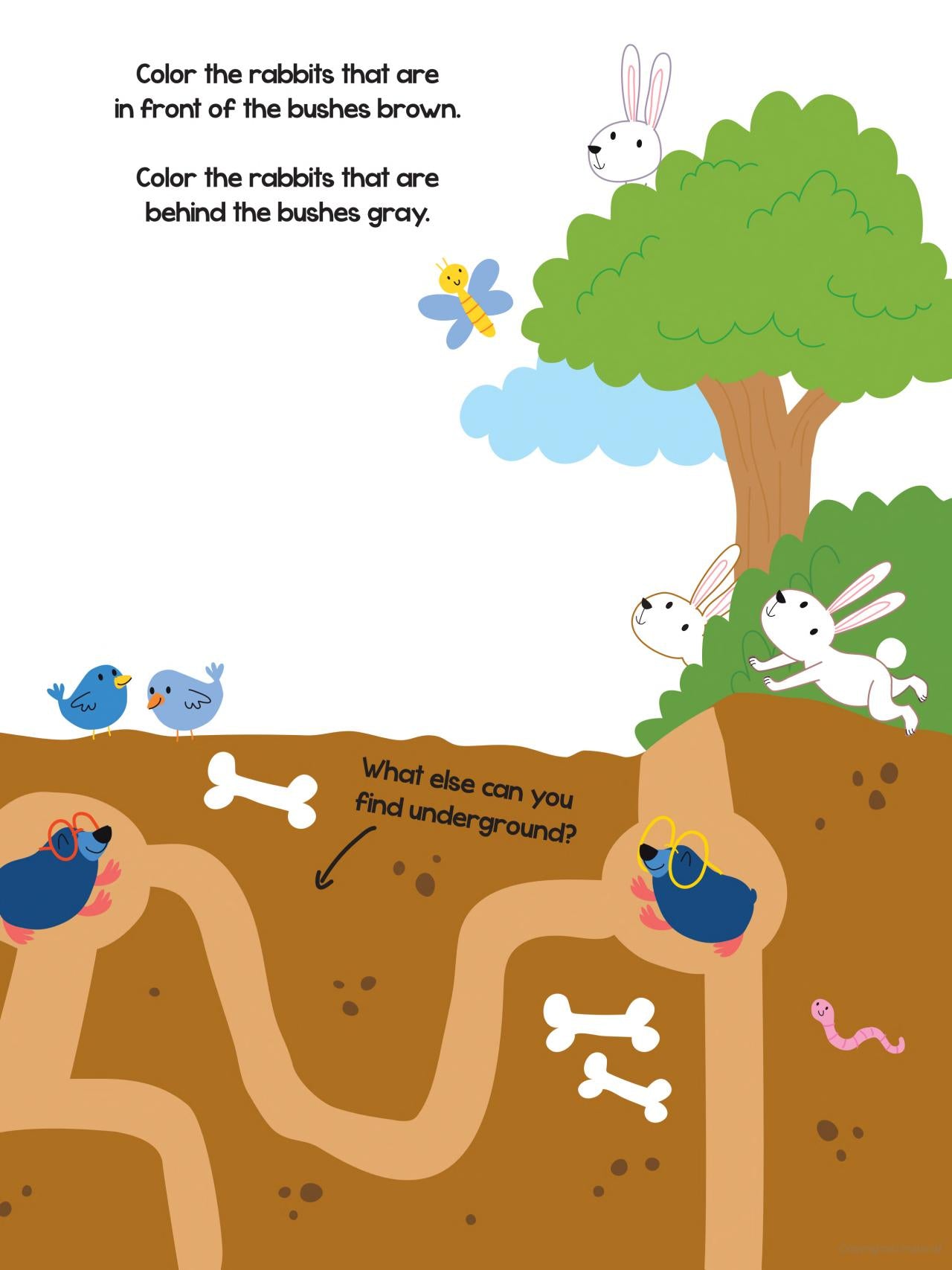 DVR 100 Fun Activities - Red